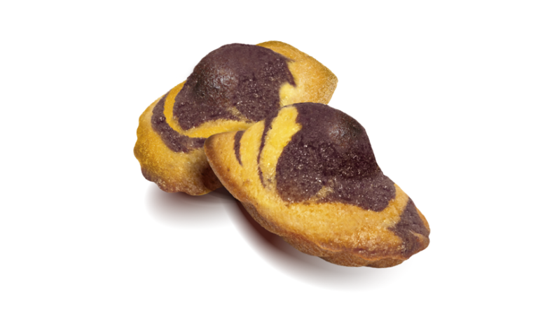 BOTERMADELEINE MET CHOCOLADE 36 x 1ST