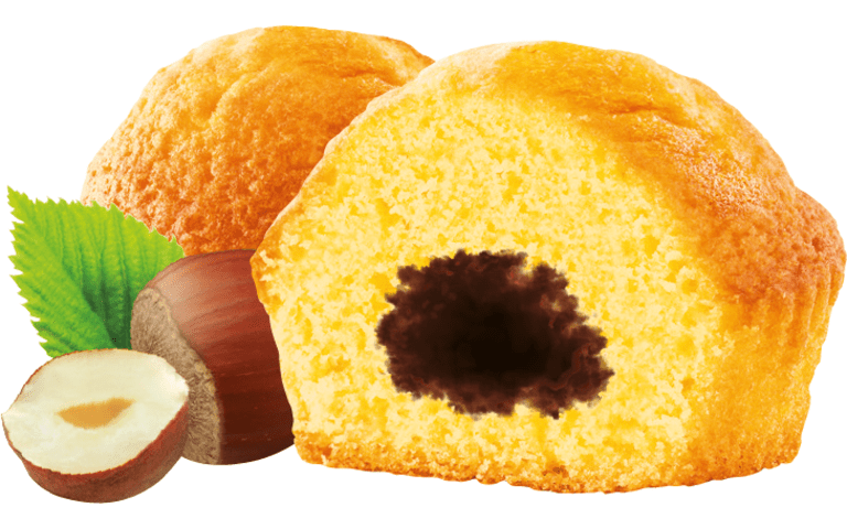 GATEAU PUR BEURRE CHOCOLAT 30 x 1P