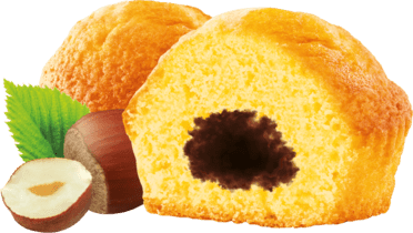 GATEAU PUR BEURRE CHOCOLAT 30 X 1P
