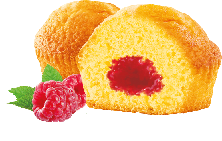 GATEAU PUR BEURRE FRAMBOISE 30 X 1P